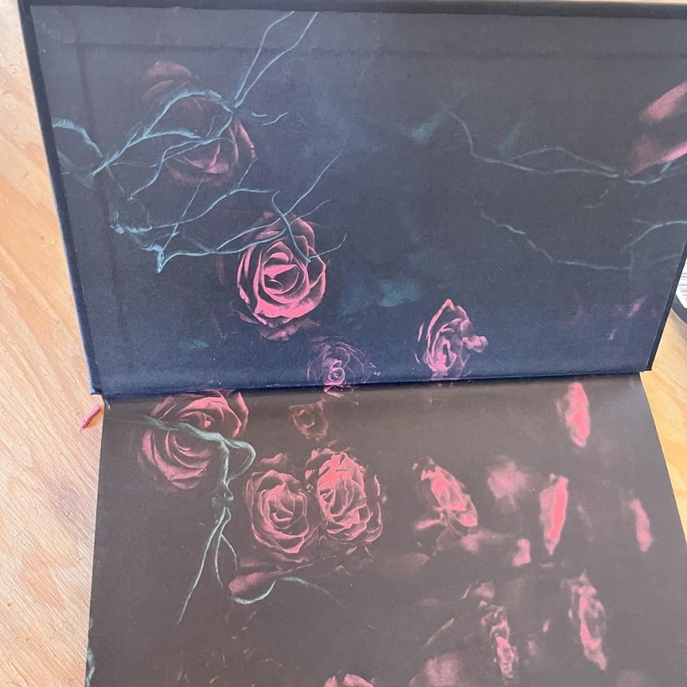 The Coven Book by Harper L. Woods - Picture 2 of 4